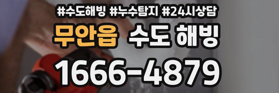 무안읍 수도 해빙