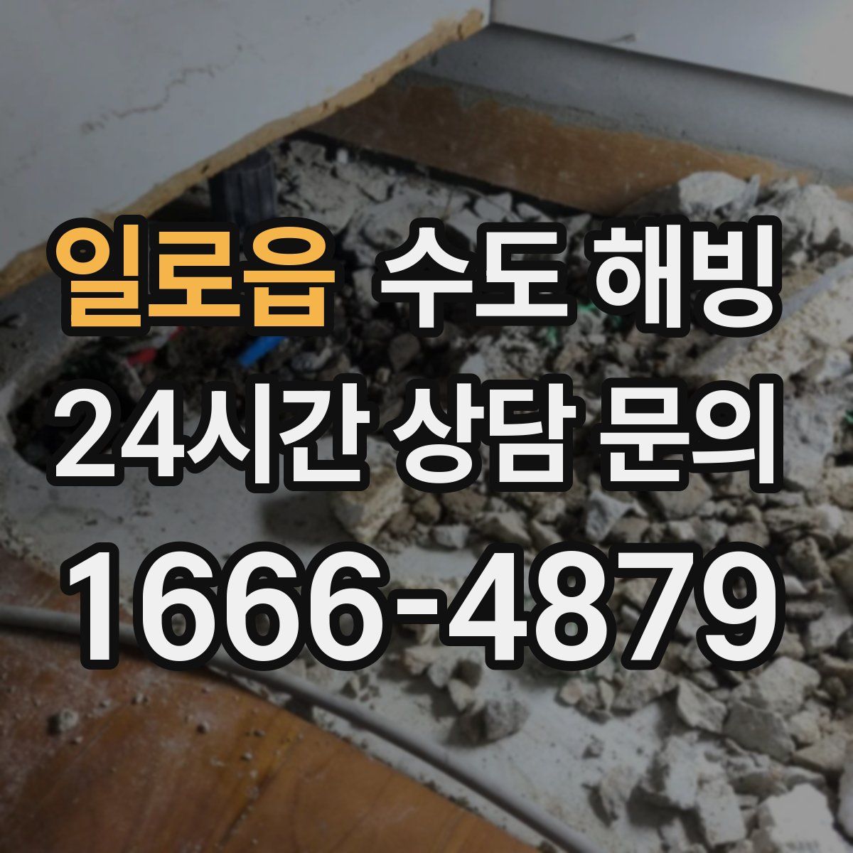 일로읍 수도 해빙