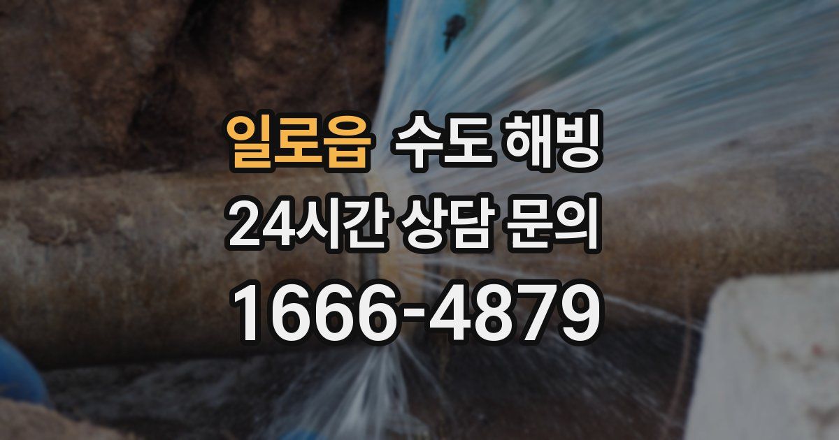 일로읍 수도 해빙