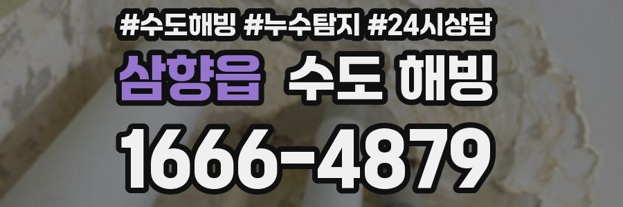 삼향읍 수도 해빙