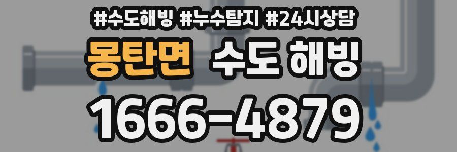 몽탄면 수도 해빙