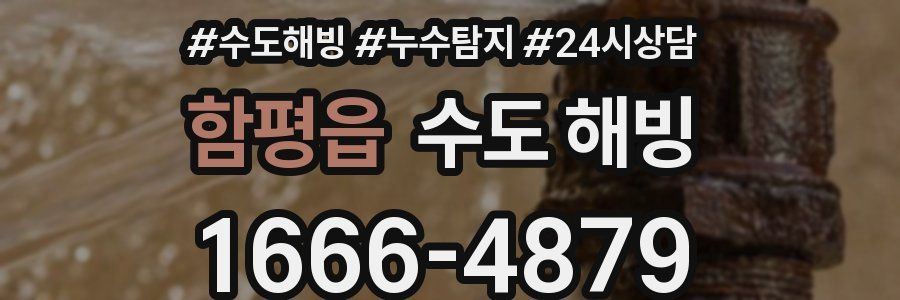 함평읍 수도 해빙