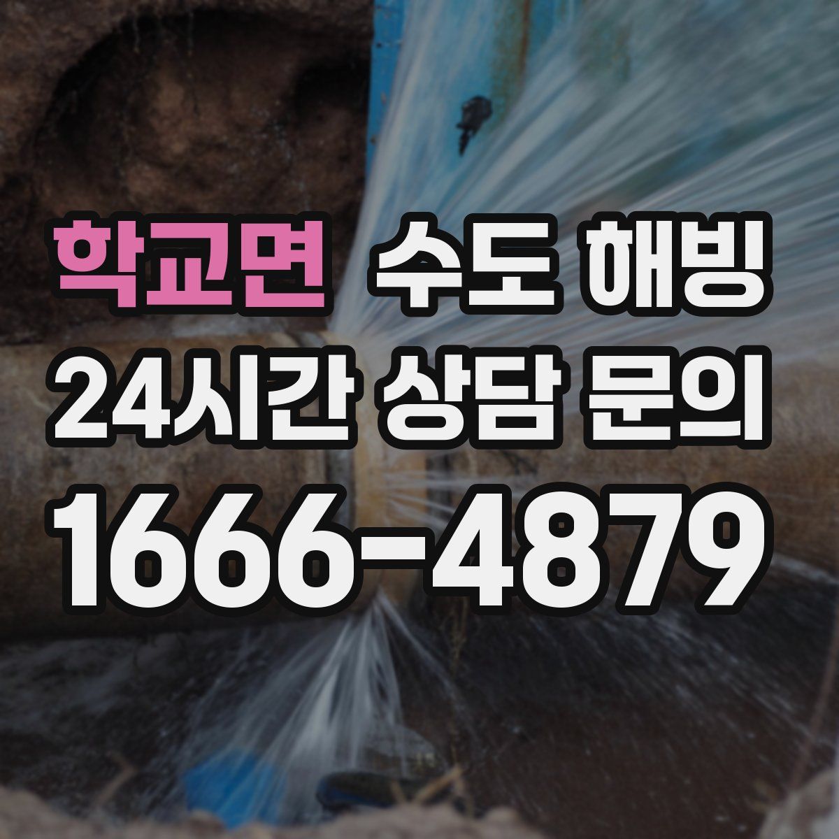 학교면 수도 해빙