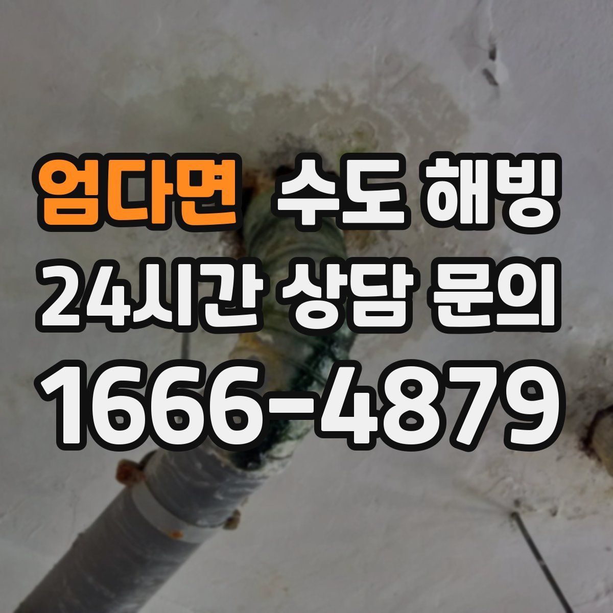 엄다면 수도 해빙