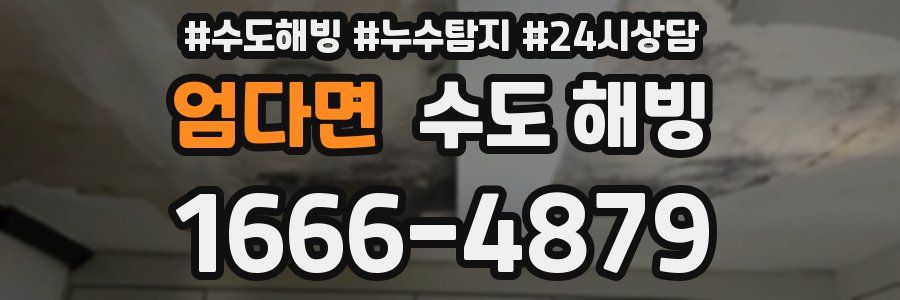 엄다면 수도 해빙