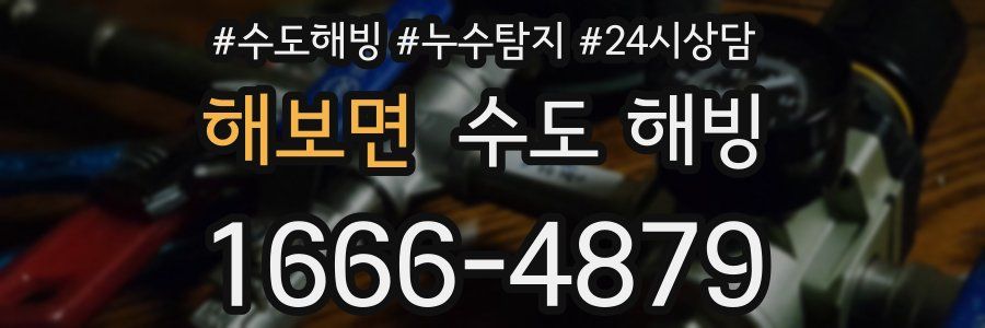 해보면 수도 해빙