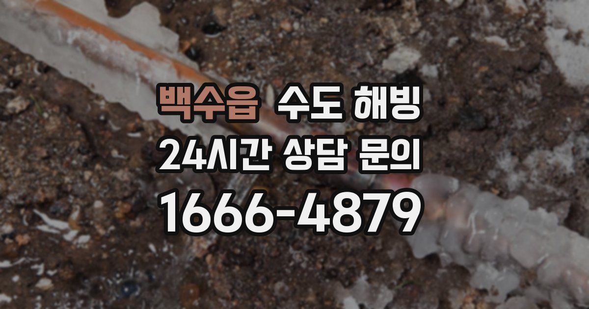 백수읍 수도 해빙