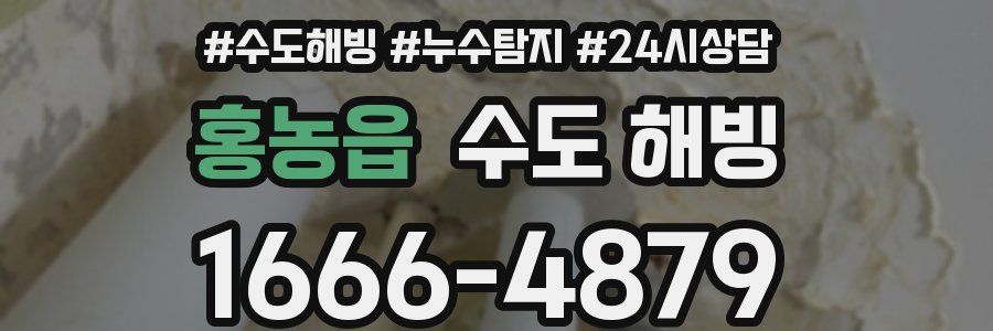 홍농읍 수도 해빙