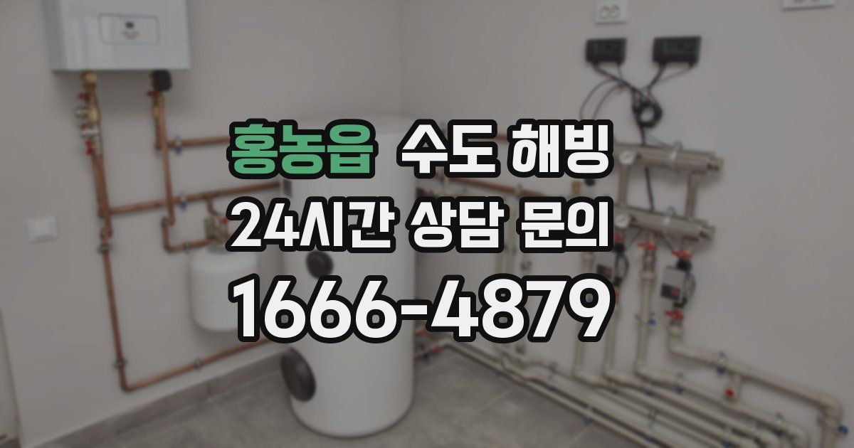 홍농읍 수도 해빙