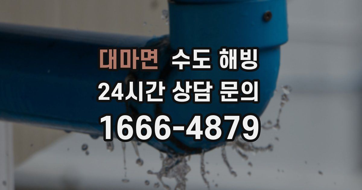 대마면 수도 해빙