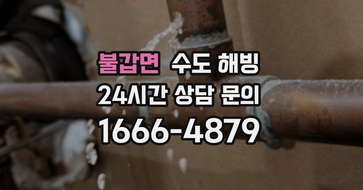 불갑면 수도 해빙