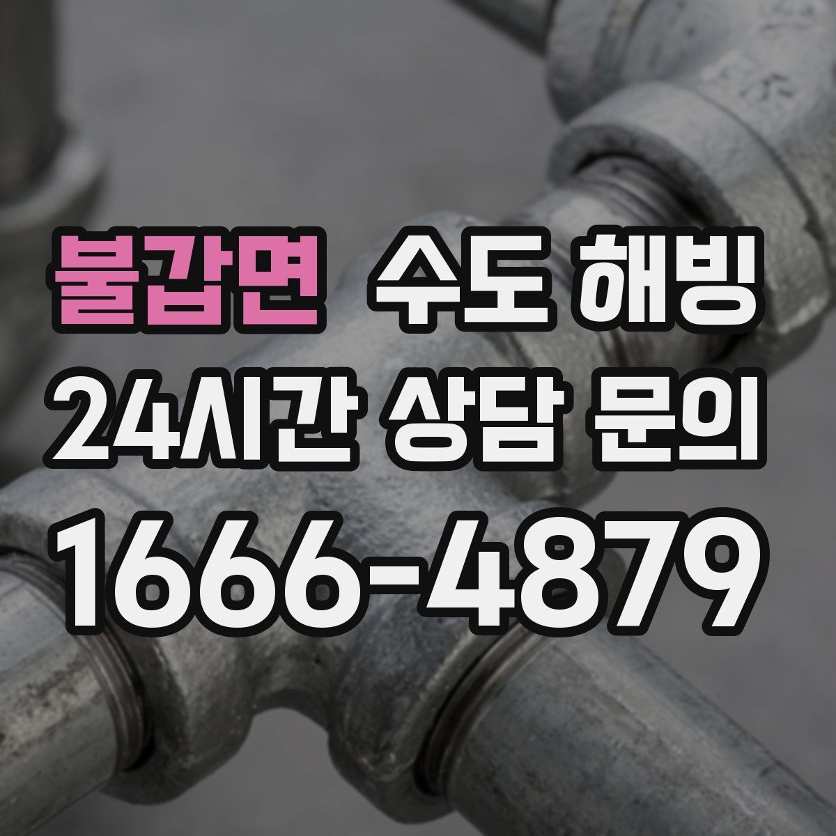 불갑면 수도 해빙