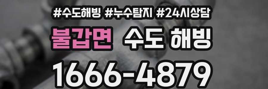 불갑면 수도 해빙