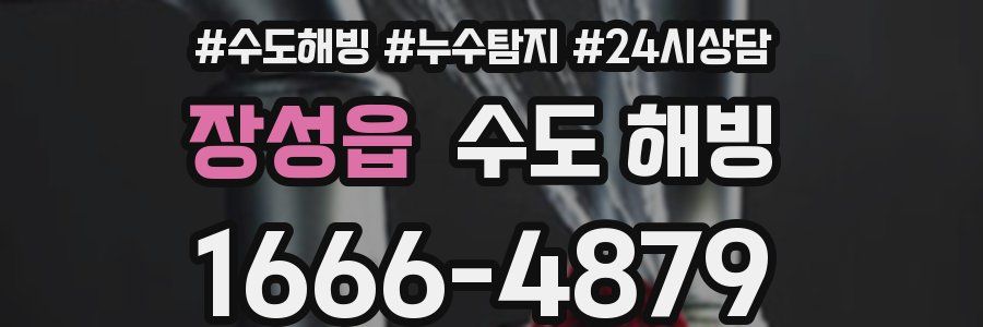 장성읍 수도 해빙