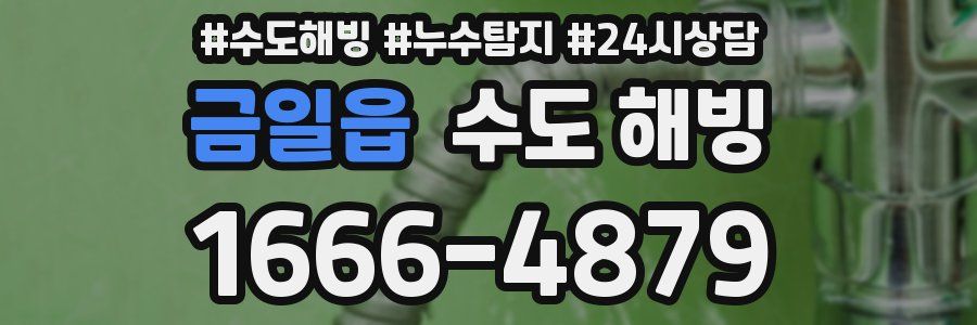 금일읍 수도 해빙