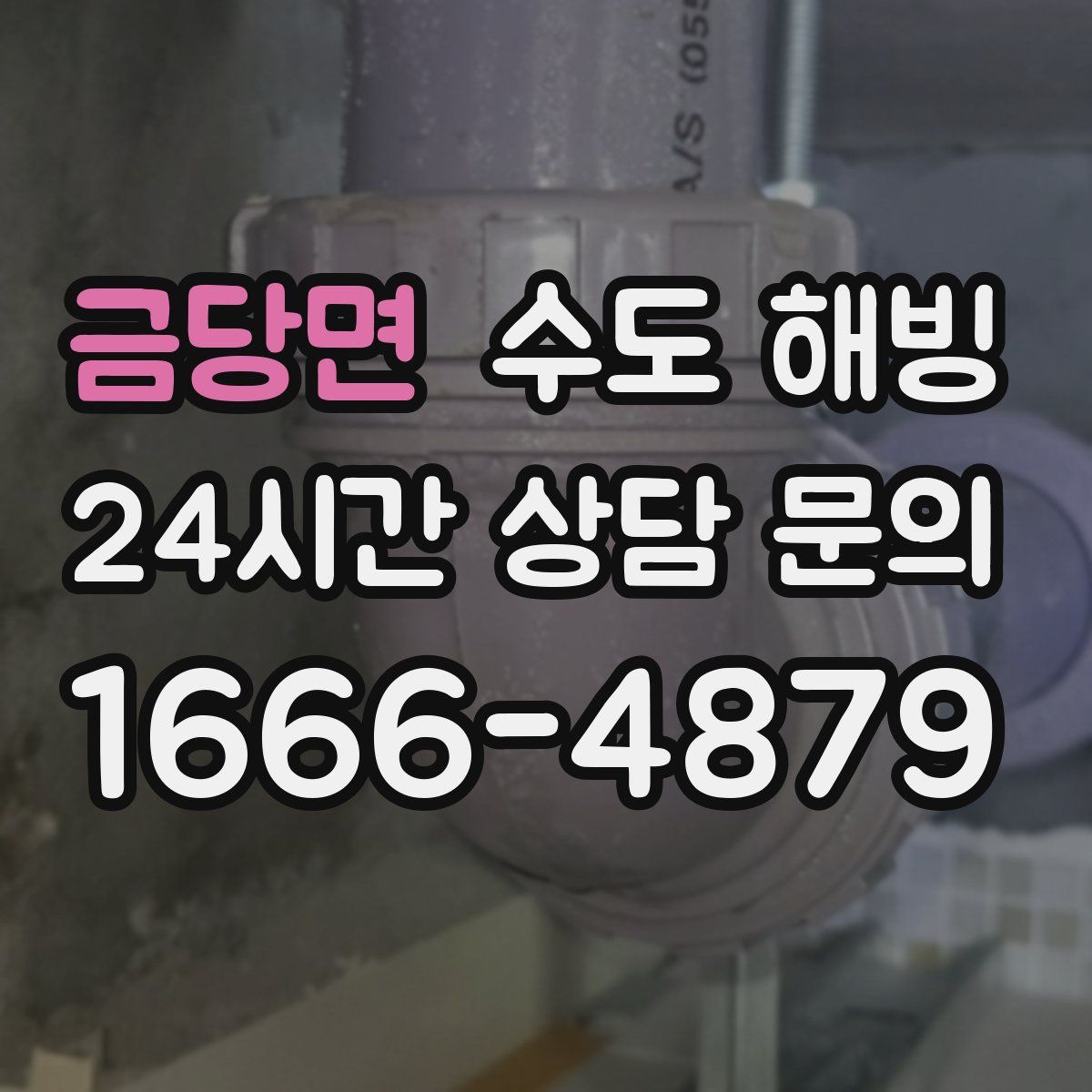 금당면 수도 해빙