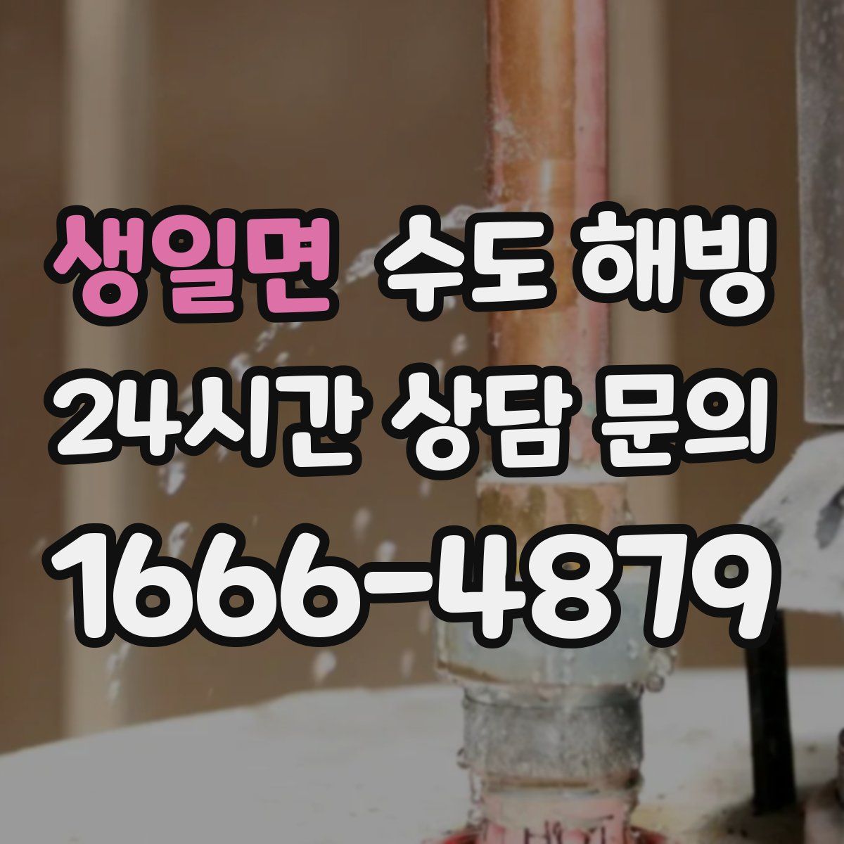 생일면 수도 해빙