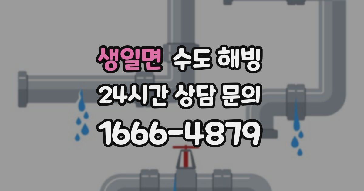 생일면 수도 해빙