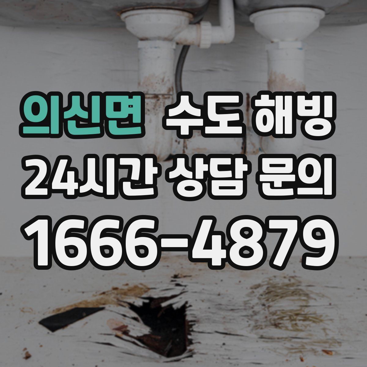 의신면 수도 해빙