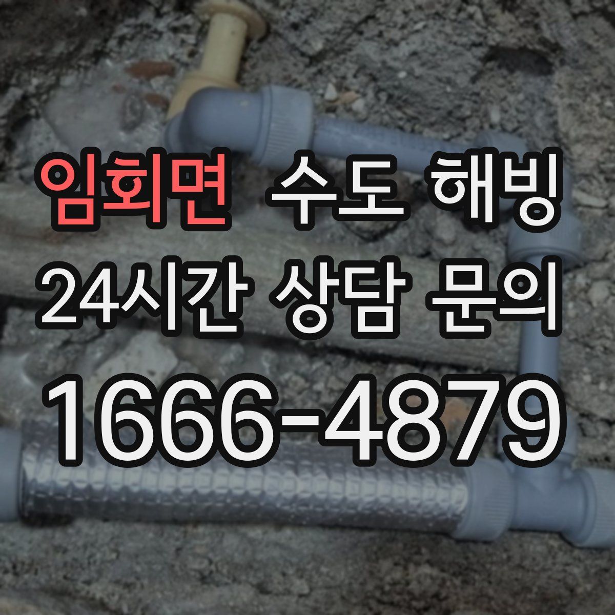 임회면 수도 해빙