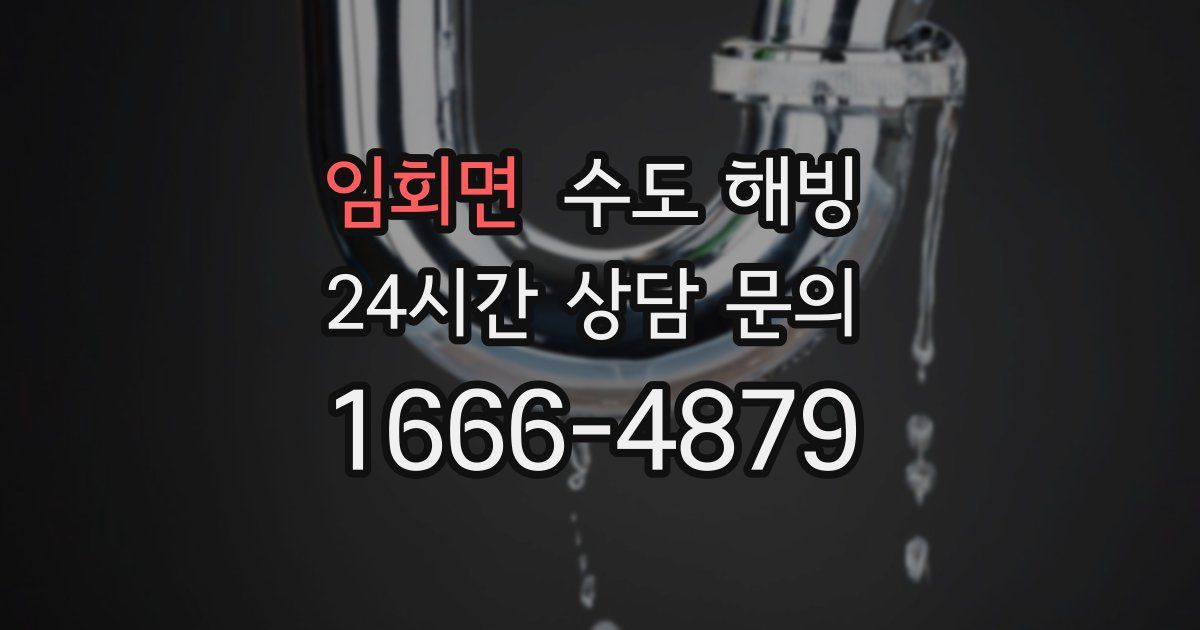 임회면 수도 해빙