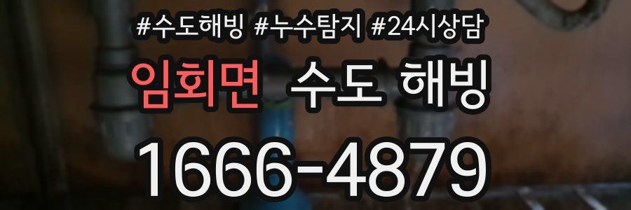 임회면 수도 해빙