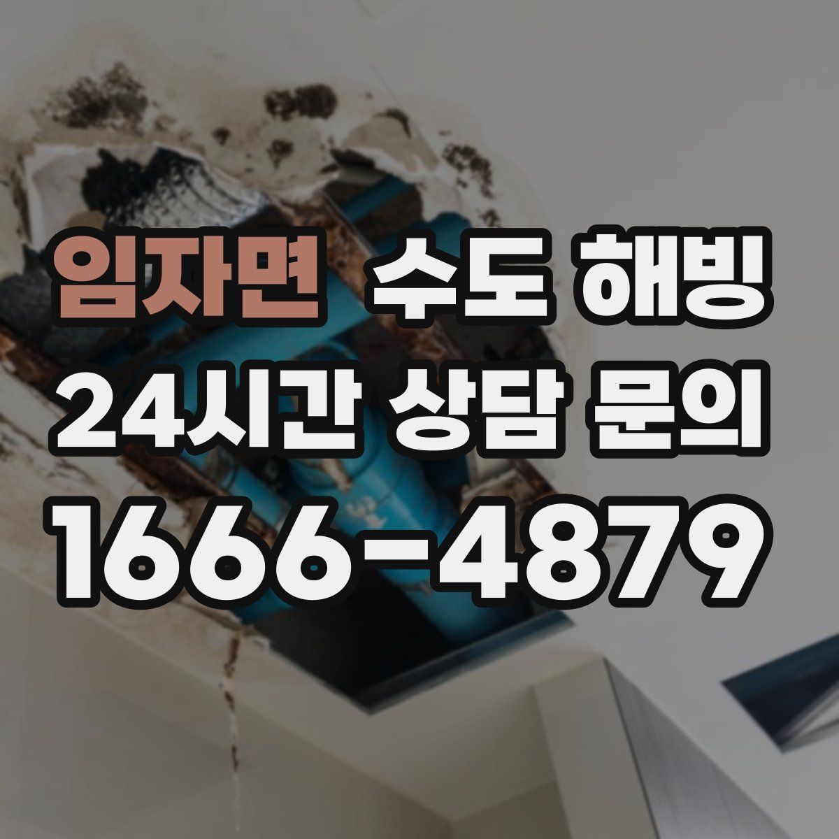 임자면 수도 해빙