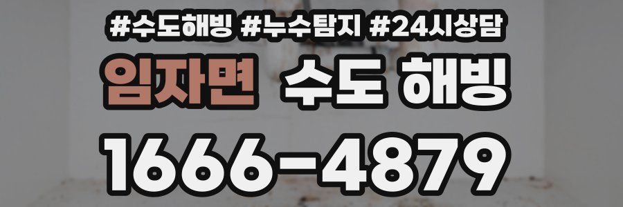 임자면 수도 해빙