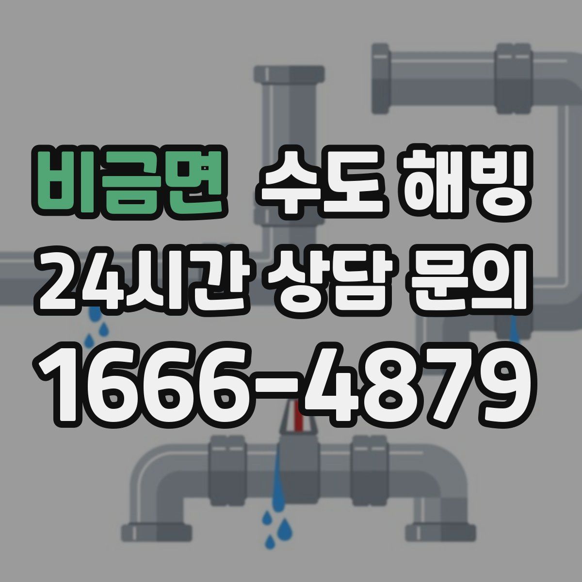 비금면 수도 해빙