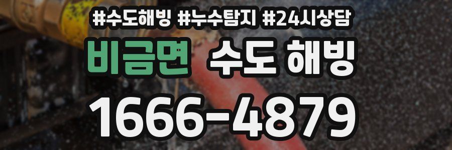 비금면 수도 해빙