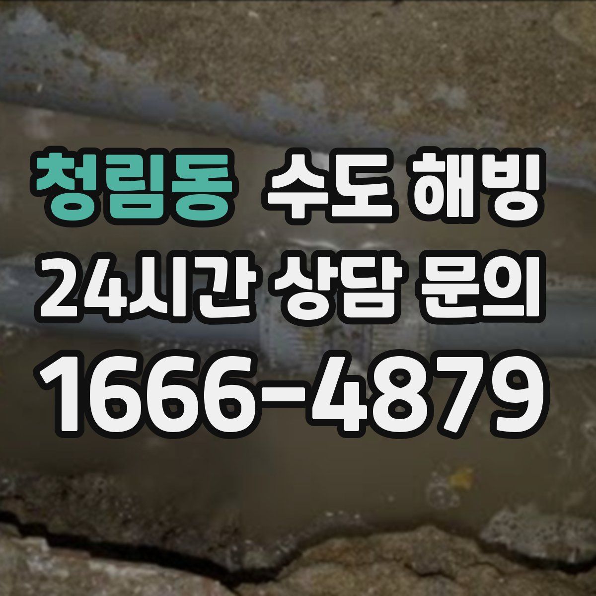 청림동 수도 해빙