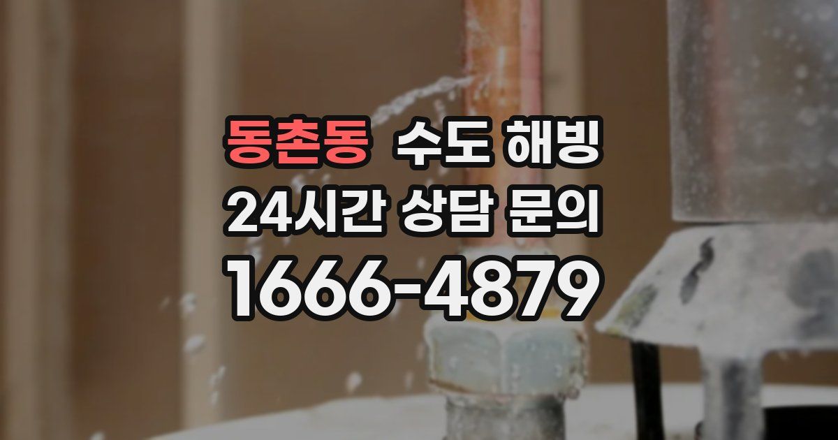 동촌동 수도 해빙