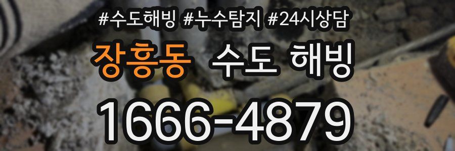 장흥동 수도 해빙