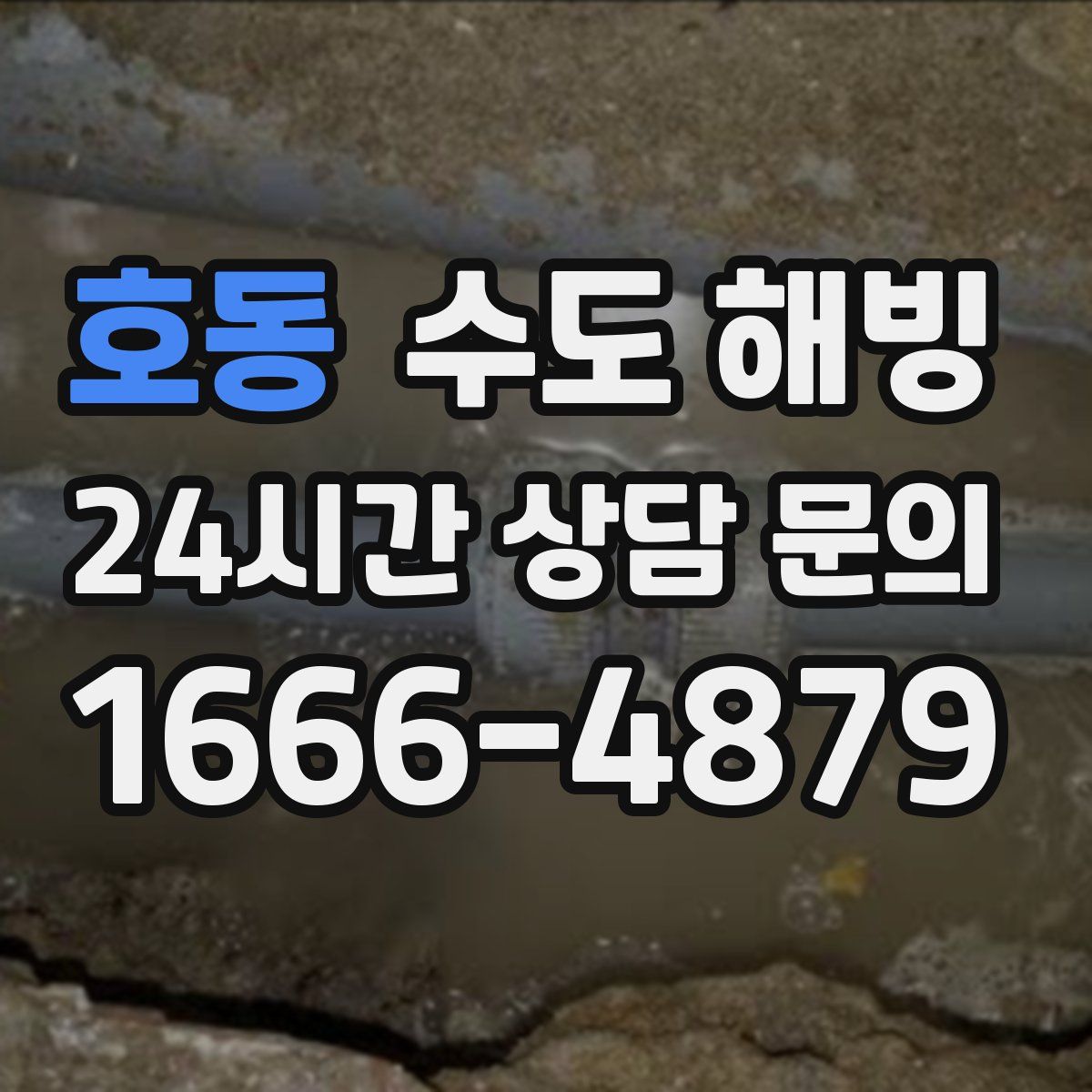 호동 수도 해빙