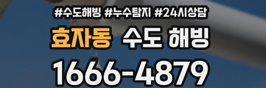 효자동 수도 해빙