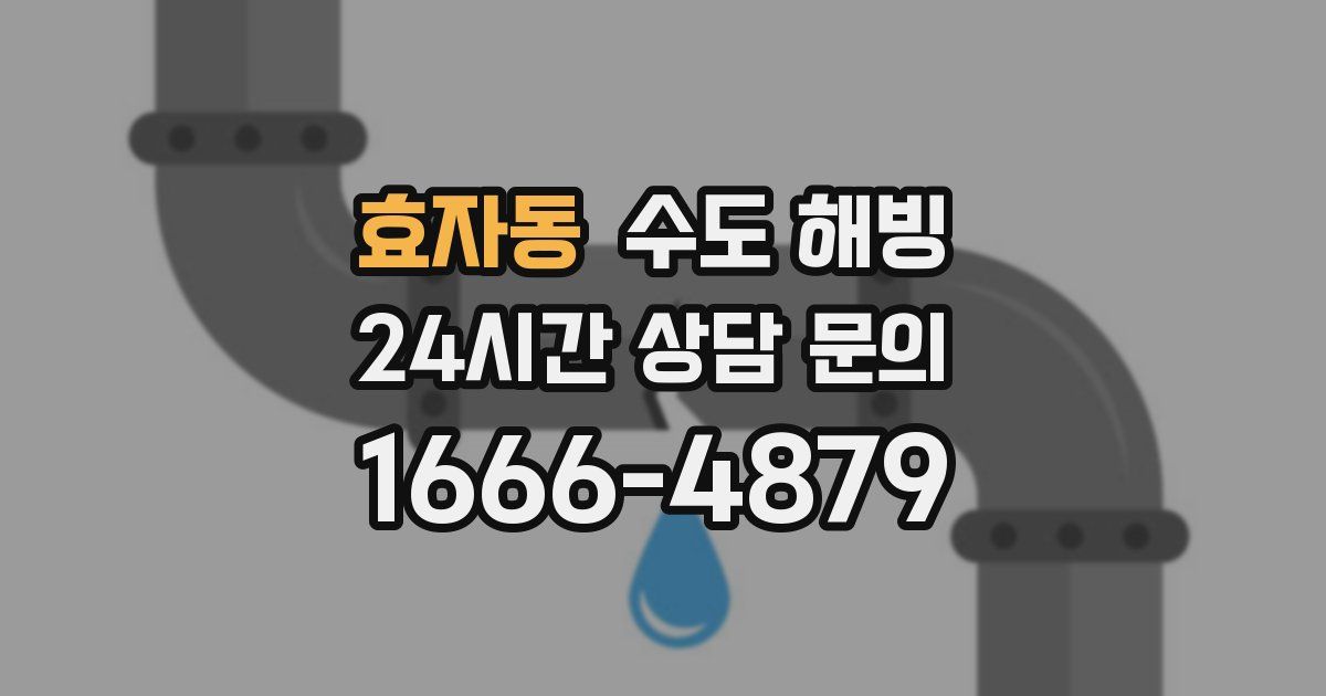 효자동 수도 해빙