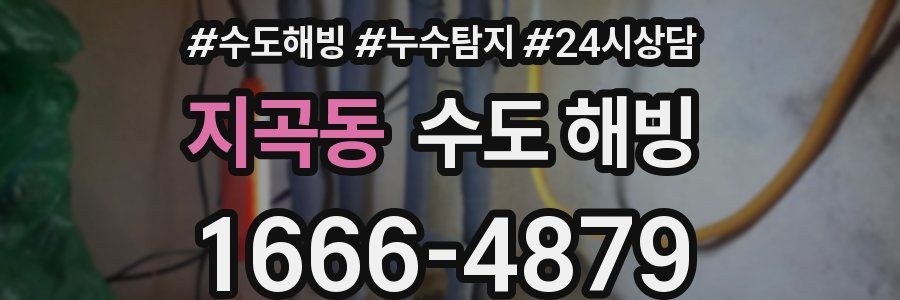 지곡동 수도 해빙