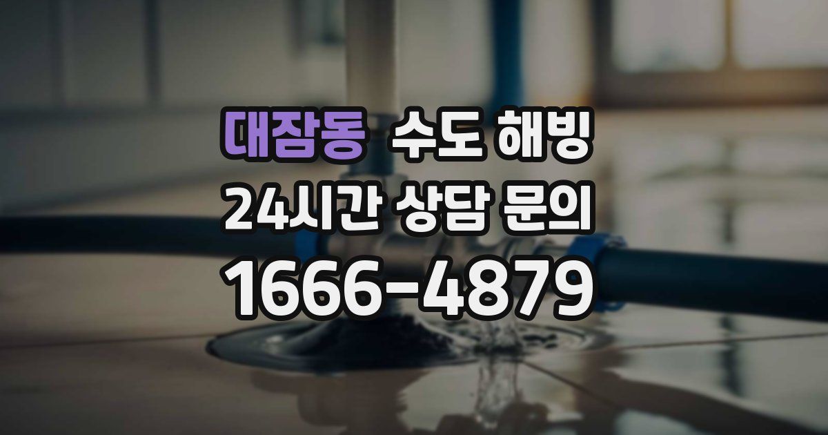 대잠동 수도 해빙