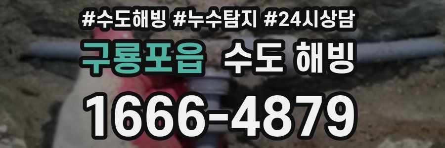 구룡포읍 수도 해빙