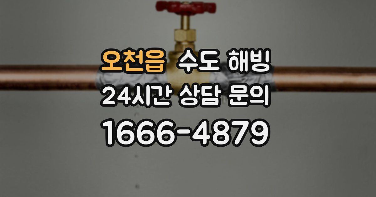 오천읍 수도 해빙