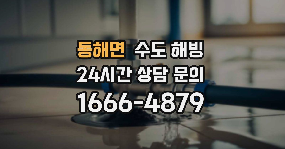 동해면 수도 해빙