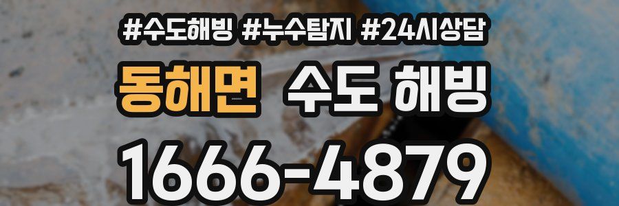 동해면 수도 해빙