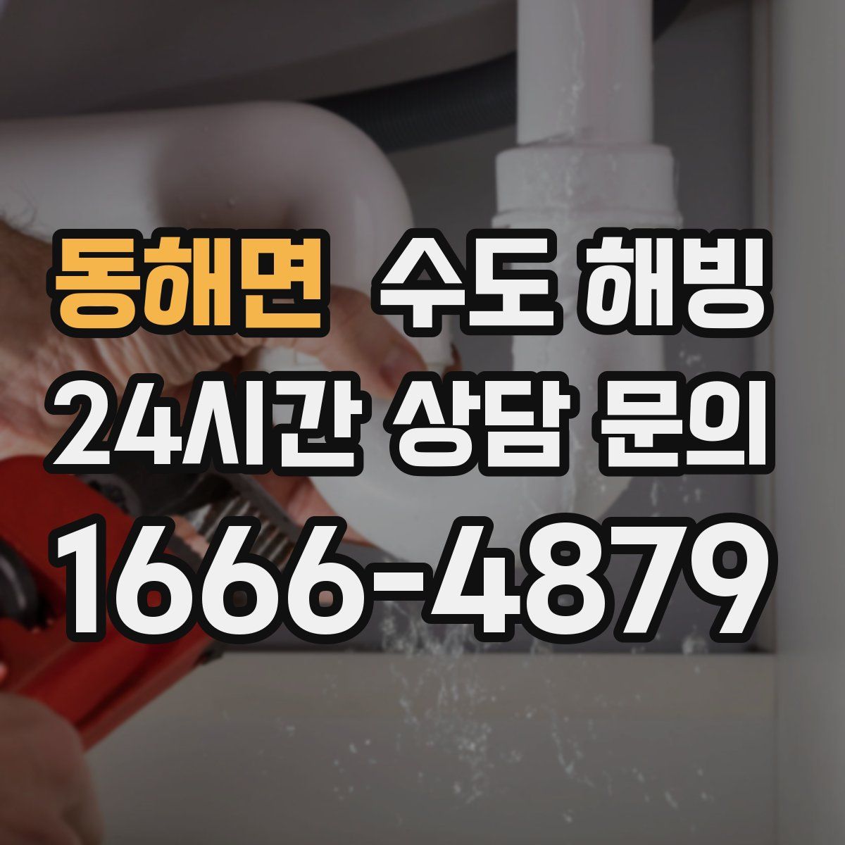 동해면 수도 해빙