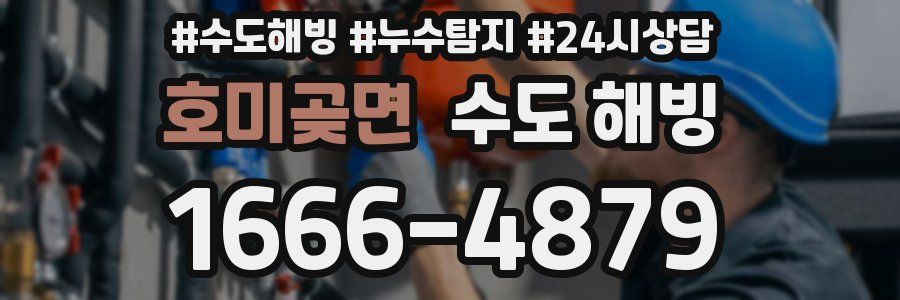 호미곶면 수도 해빙