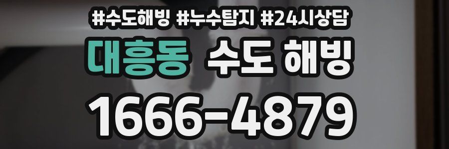 대흥동 수도 해빙