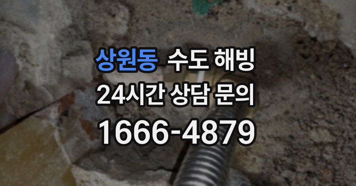 상원동 수도 해빙