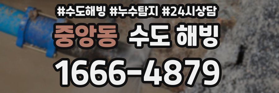 중앙동 수도 해빙