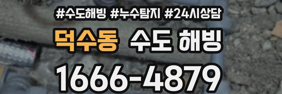 덕수동 수도 해빙