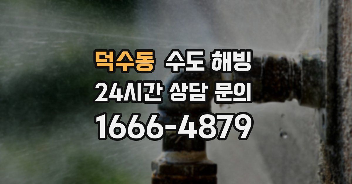 덕수동 수도 해빙