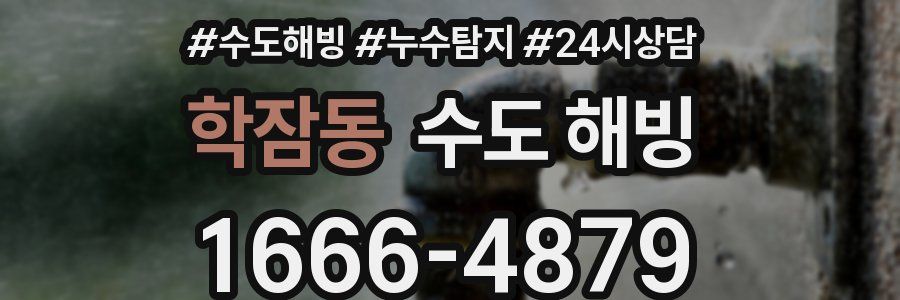 학잠동 수도 해빙